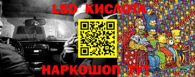 амф Новозыбков