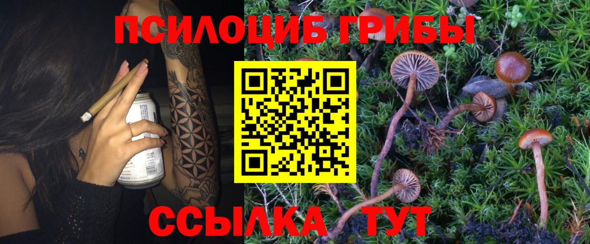 Ступино  Псилоцибиновые грибы мухоморы  Вход с VPN 
