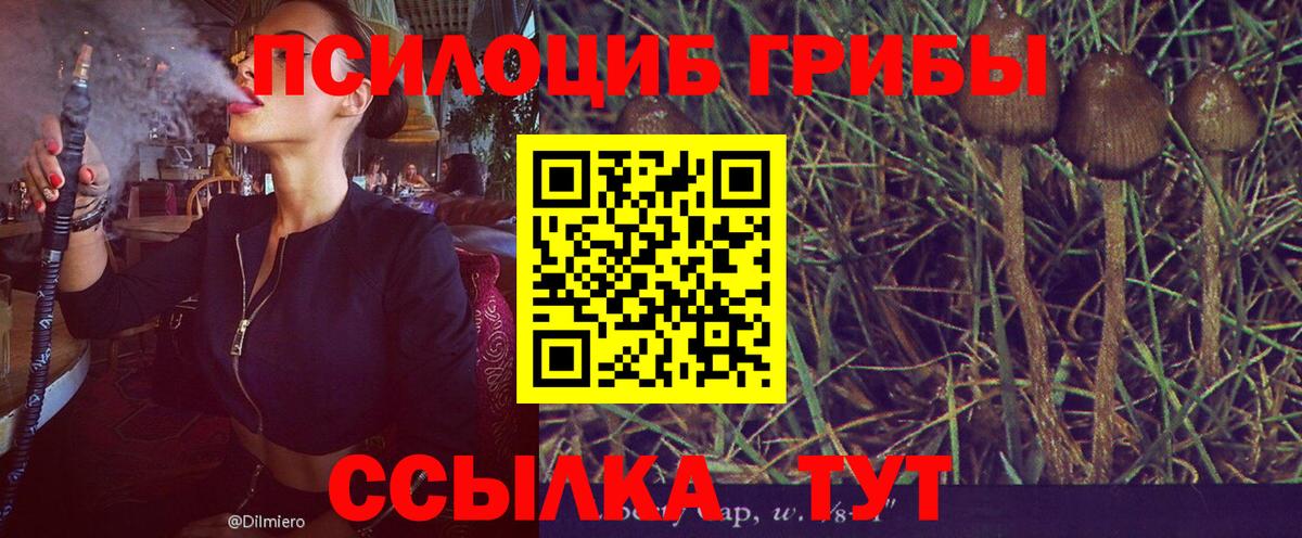 Псилоцибиновые грибы мицелий Ступино